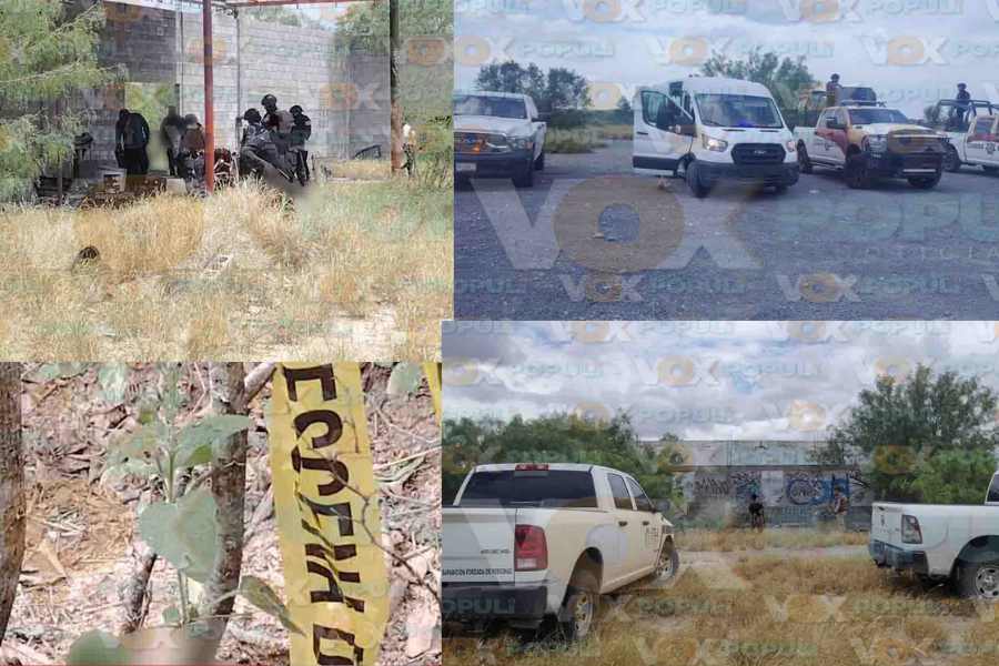 Localizan restos óseos humanos en Miguel Alemán, Tamaulipas