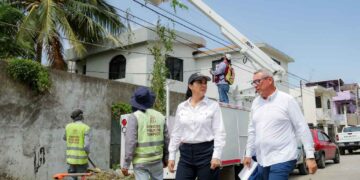 Monica Villarreal Limpieza Descacharrizacion