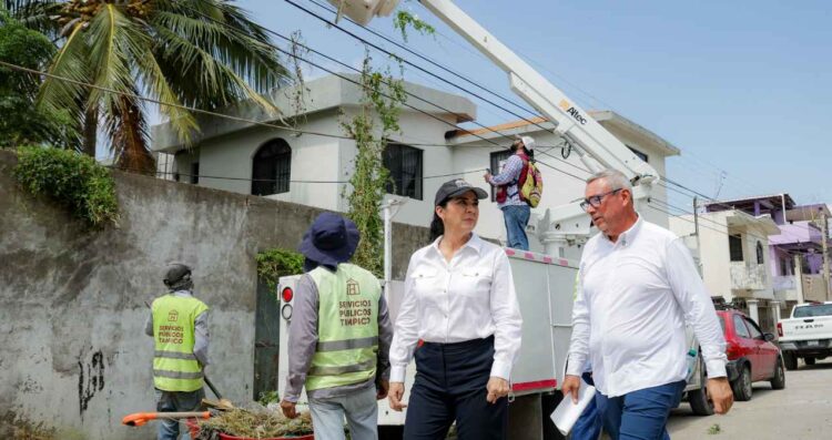 Monica Villarreal Limpieza Descacharrizacion