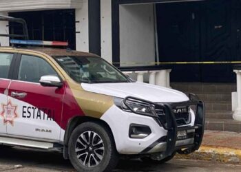 Necropsia de Dafne habría revelado nuevos datos sobre su fallecimiento en Cd. Madero, Tamaulipas