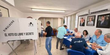 PAN votación interna