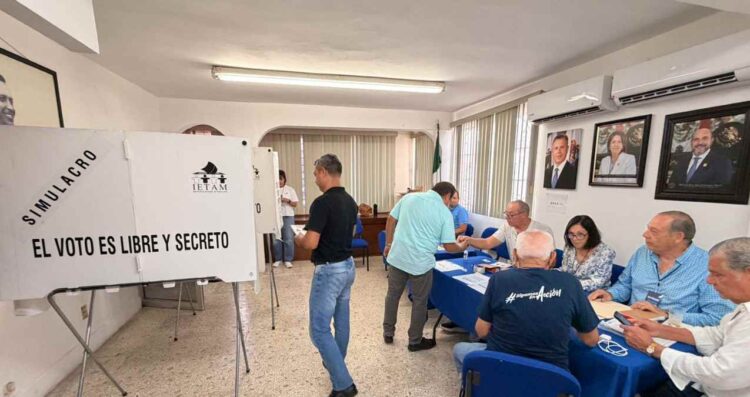PAN votación interna