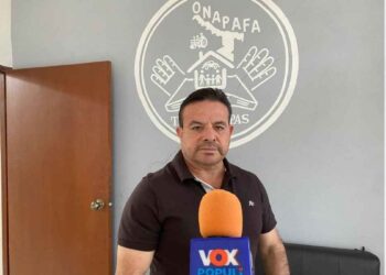 Regularización vehicular por pedimento no cubre placas, señala ONAPAFA Tamaulipas