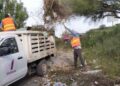 Servicios Públicos refuerza limpieza en colonias de Ciudad Victoria, Tamaulipas