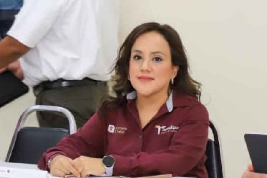 Tamaulipas Guardianes Salud Mental