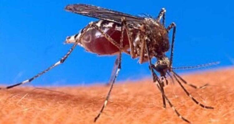 Tamaulipas evalúa usar nuevas tecnologías para fortalecer el combate contra el dengue