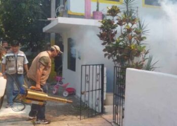 Tamaulipas mantiene baja incidencia en casos de dengue durante 2026