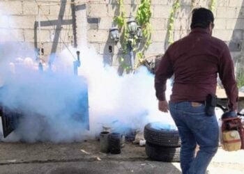 Tamaulipas mantiene bajo control los casos de dengue durante 2026