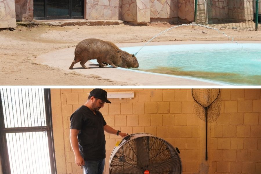 Zoológico y Acuario de Nuevo Laredo
