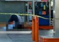 ataque abejas Valle Hermoso