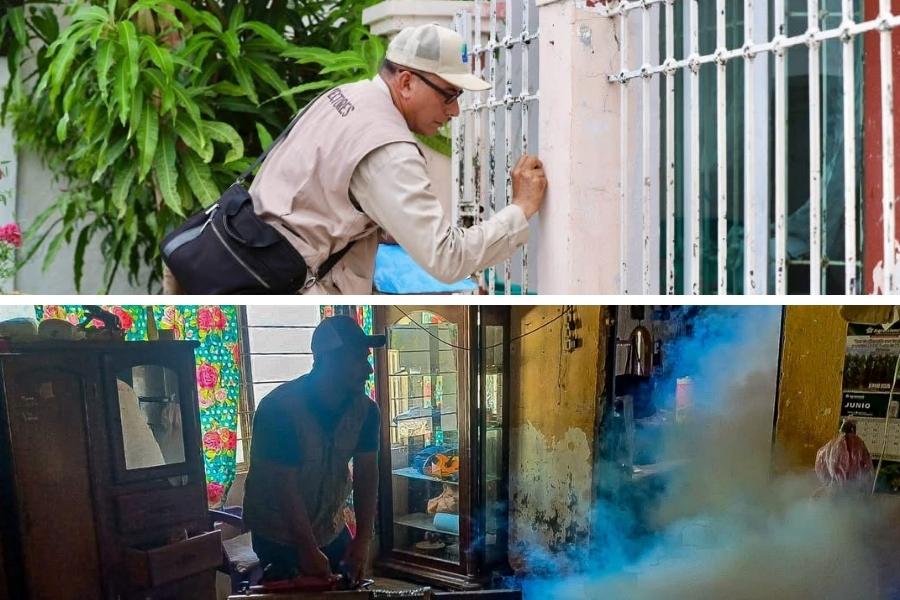 brigadas contra el dengue Tampico