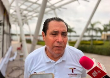brigadas contra el dengue Tampico