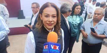 casos de violencia familiar en Tamaulipas