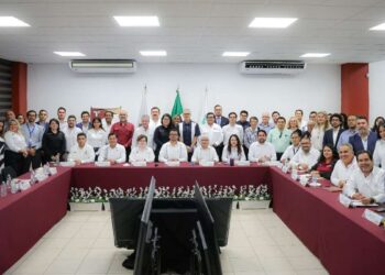 energía renovable en Tamaulipas