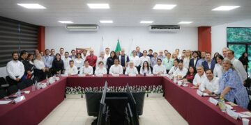 energía renovable en Tamaulipas