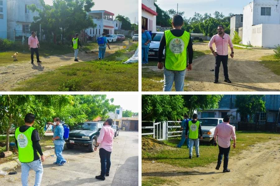 fumigación contra el dengue en Tamaulipas