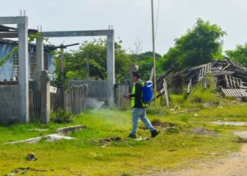 fumigación contra el dengue en Tamaulipas