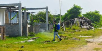 fumigación contra el dengue en Tamaulipas