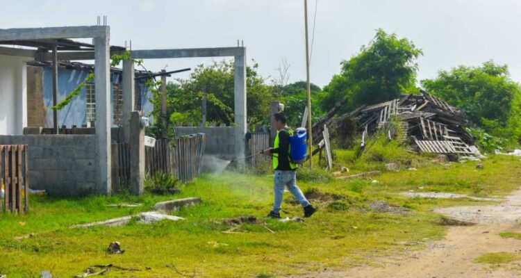 fumigación contra el dengue en Tamaulipas