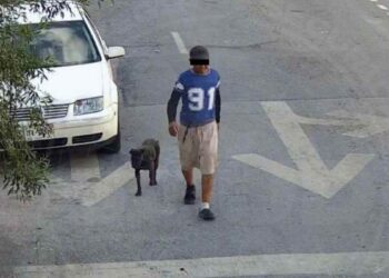hombre ataque de perros en Monterrey