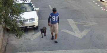 hombre ataque de perros en Monterrey