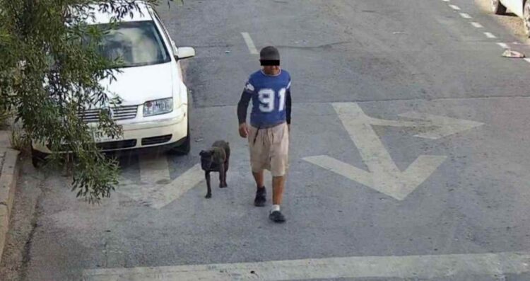 hombre ataque de perros en Monterrey