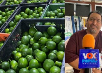 limón en Ciudad Victoria