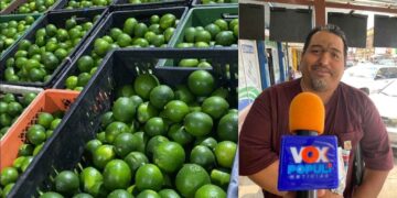 limón en Ciudad Victoria