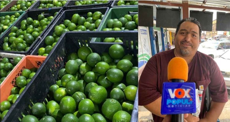 limón en Ciudad Victoria