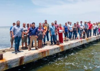 manglares en Tamaulipas
