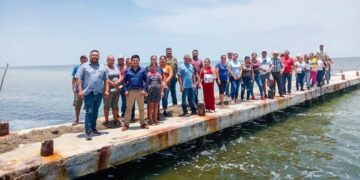 manglares en Tamaulipas
