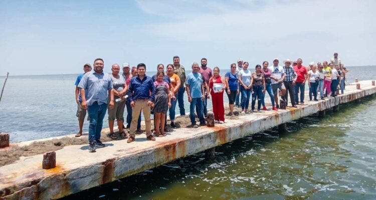manglares en Tamaulipas