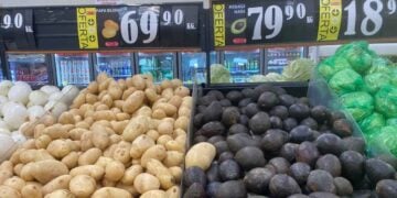 papa aguacate aumentos considerables