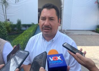 picadura de araña violinista Ciudad Victoria