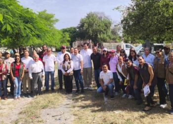 prevención de dengue Tamaulipas