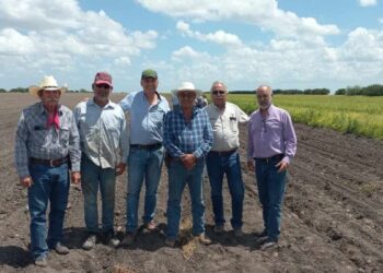 producción agrícola San Fernando