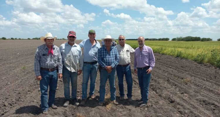 producción agrícola San Fernando