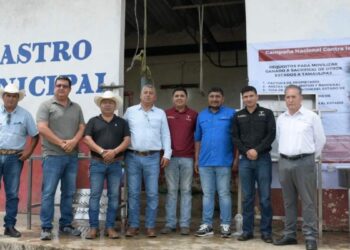 rastro municipal Ocampo