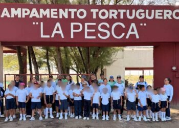 tortuga lora Soto La Marina