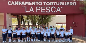 tortuga lora Soto La Marina