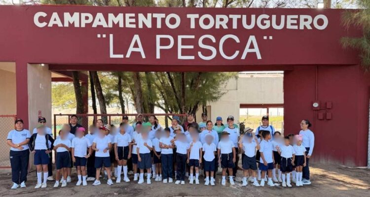 tortuga lora Soto La Marina