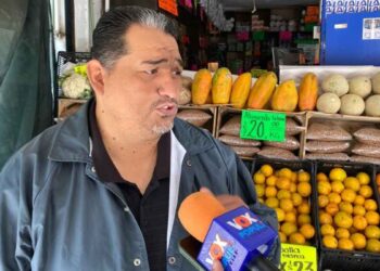 Arguelles precios frutas verduras