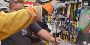 Bomberos víbora Waldos en Victoria