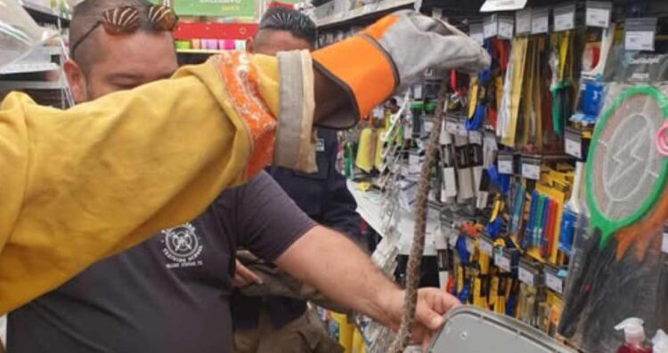 Bomberos víbora Waldos en Victoria