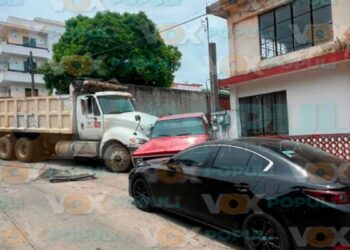 Camión de volteo adulto Tampico