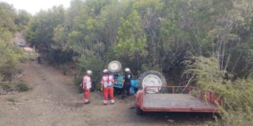 Campesino labores agrícolas en Linares