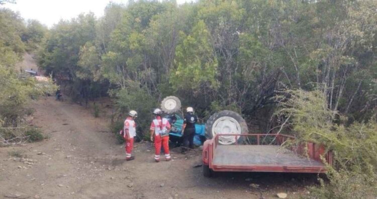 Campesino labores agrícolas en Linares