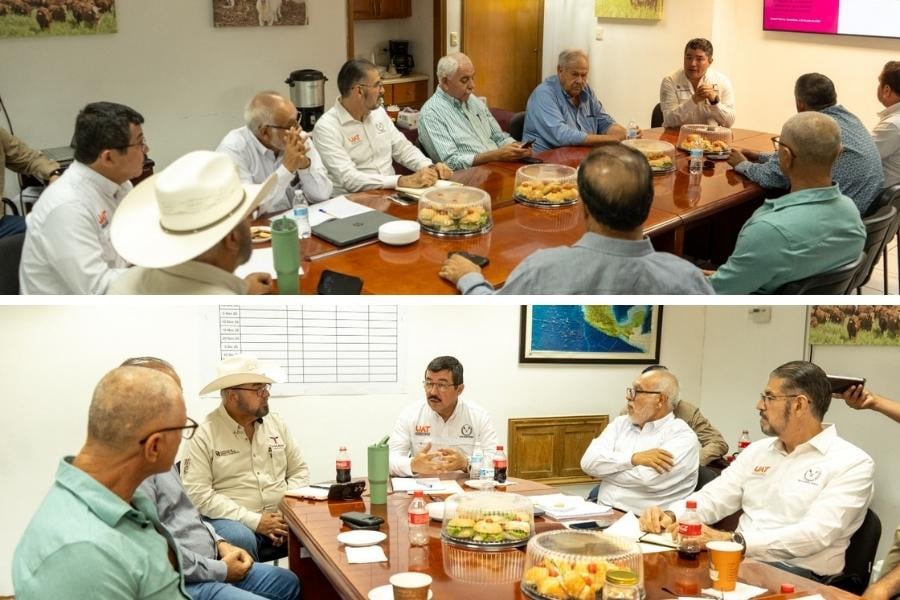 Carne Tam Tamaulipas