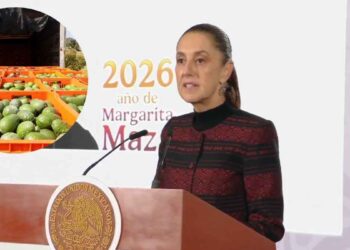 Claudia Sheinbaum, Aguacate, Estados Unidos