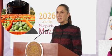 Claudia Sheinbaum, Aguacate, Estados Unidos
